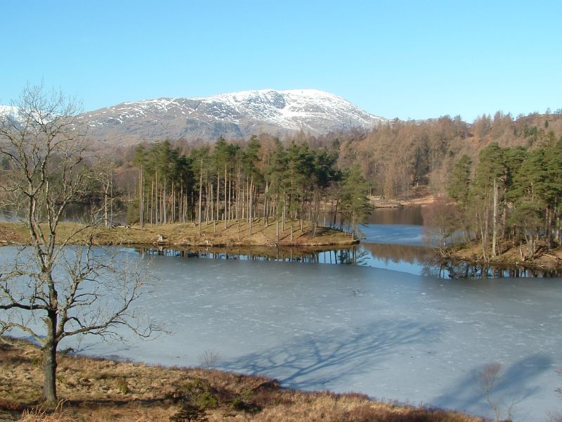 the view of a pond and mountains on a clear day