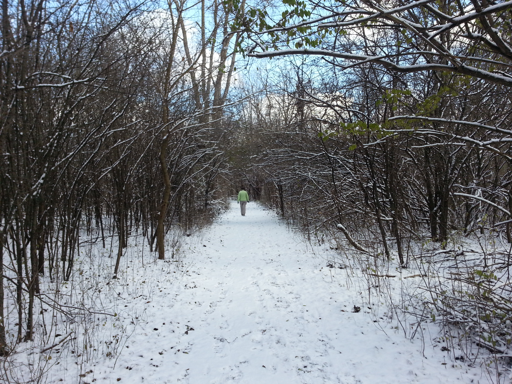 two people walking in the middle of a snow covered forest