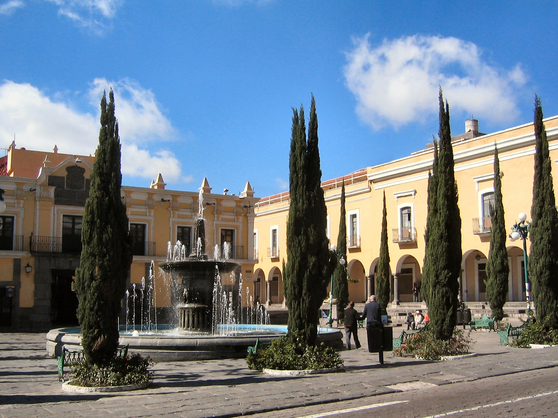 buildings in the background with several trees around a fountain