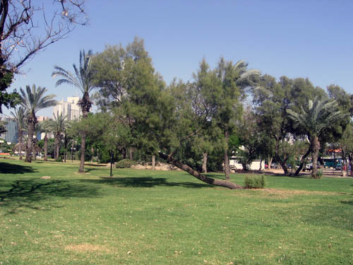 an image of a large park setting with trees