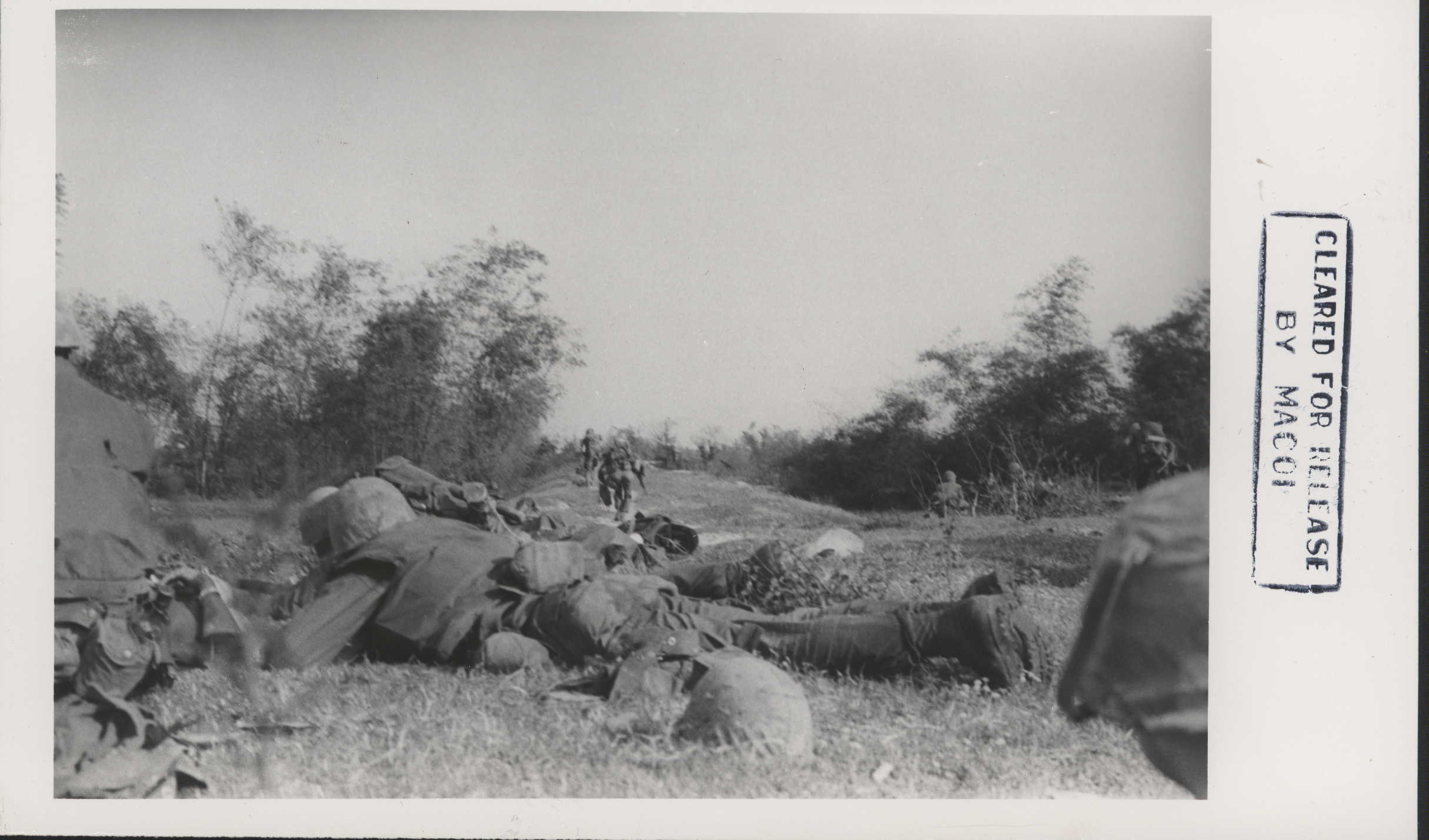 a group of men standing over each other near trees