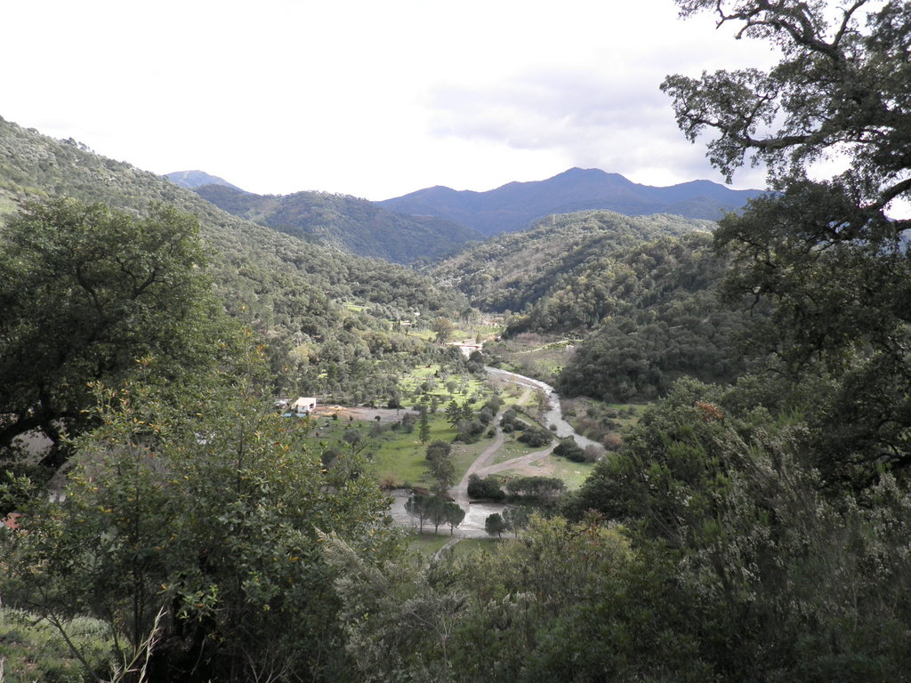 a large valley surrounded by lush green trees