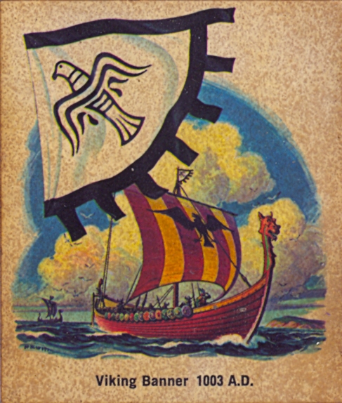 the book viking banner, featuring a ship and eagle