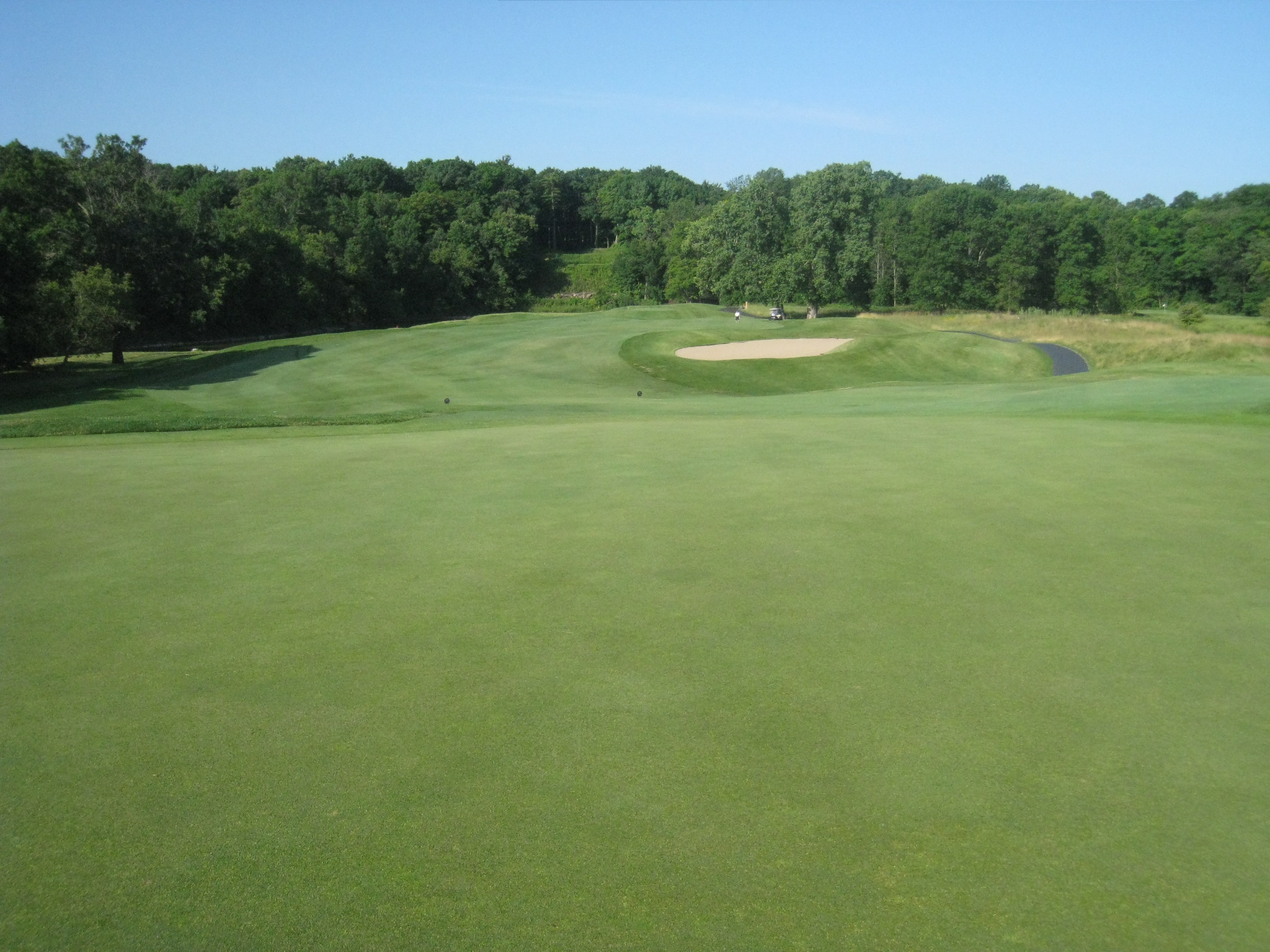 green golf with view of hole 6 in front