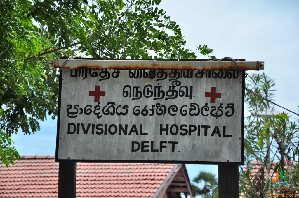 a sign posted on a wooden pole near trees