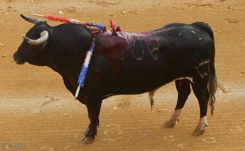 a cow that is standing on the dirt