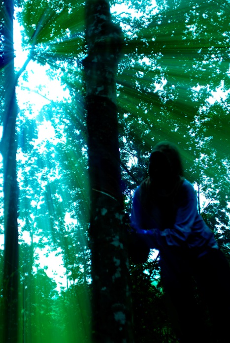 a woman climbing up a tall tree into the trees