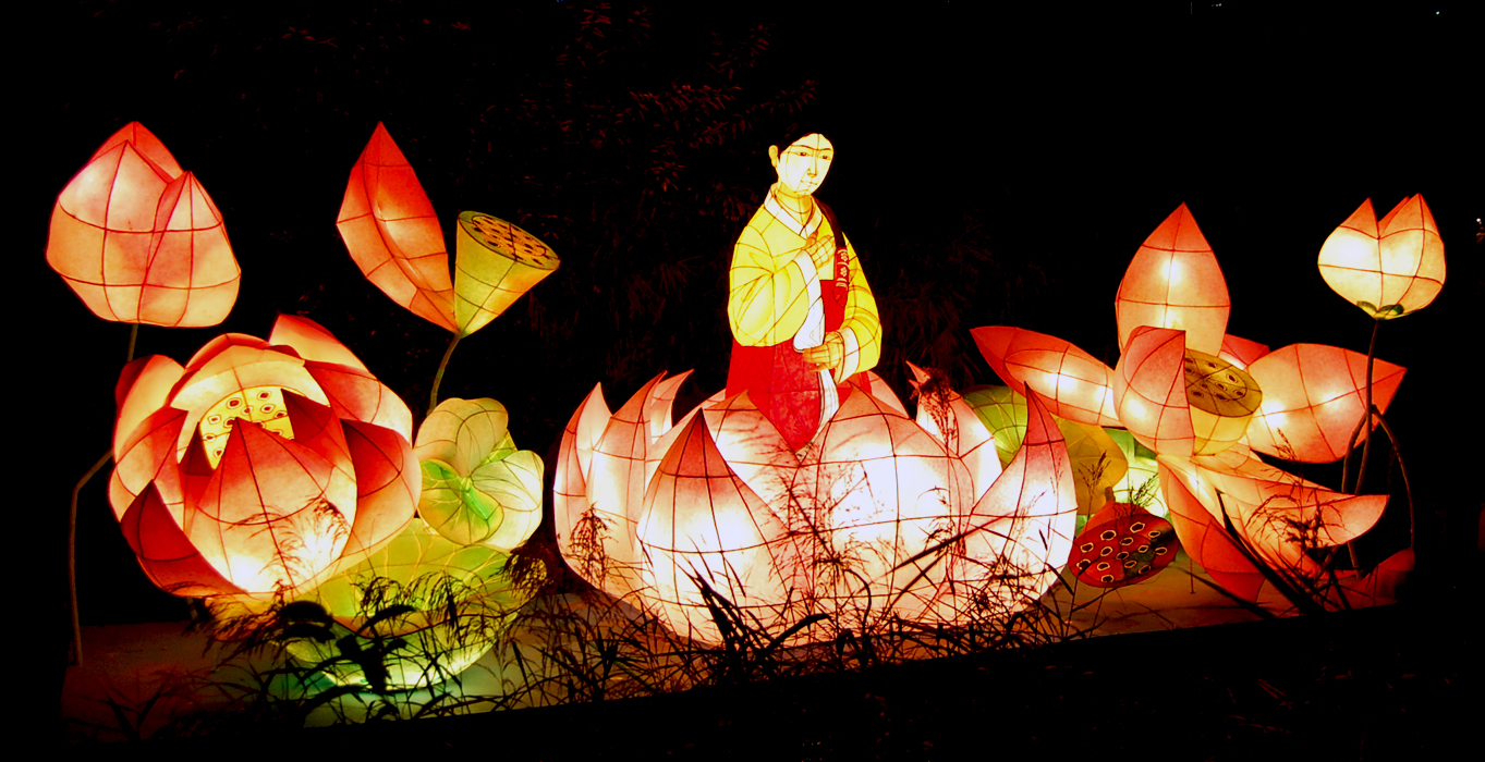 there are many lanterns lit up on the night