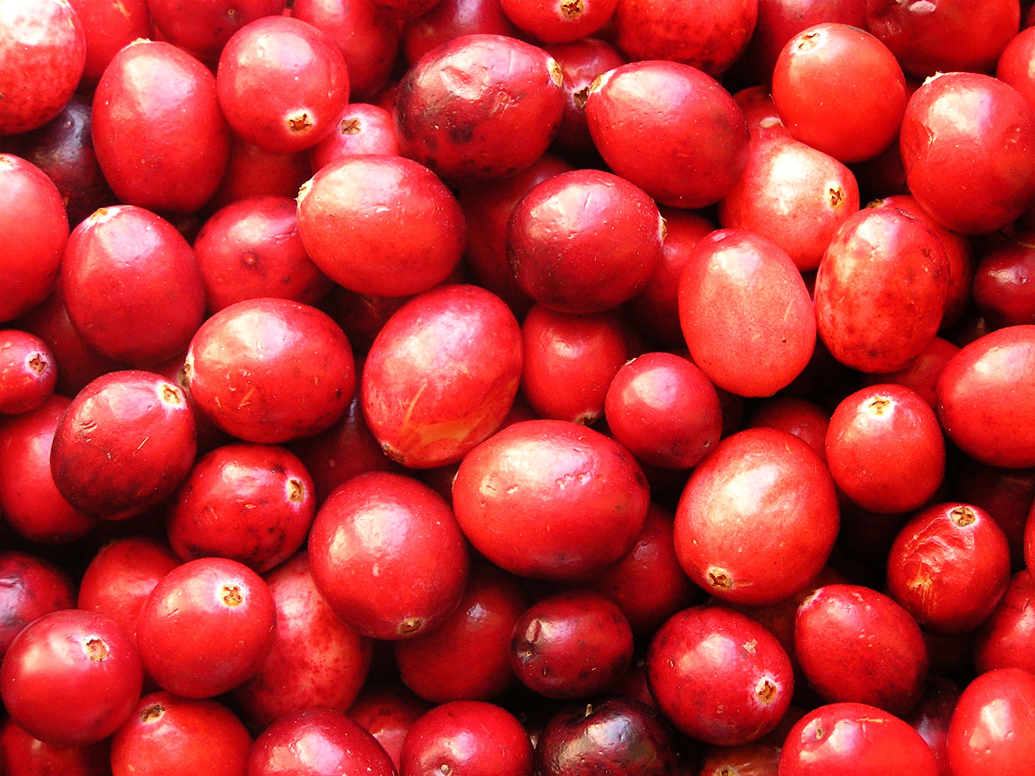 closeup of red pomegranates arranged together
