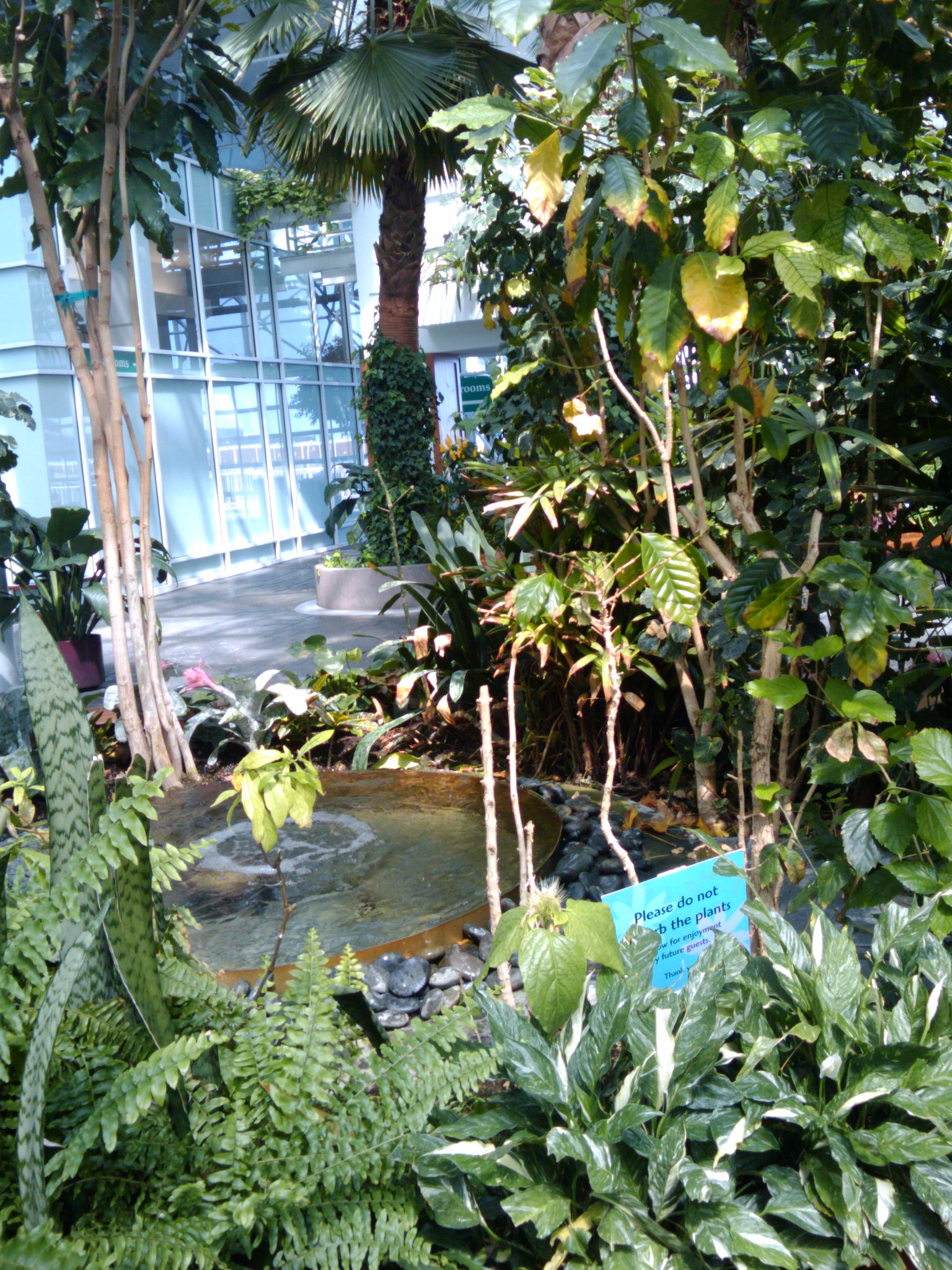 a variety of plants near a small pond and apartment building