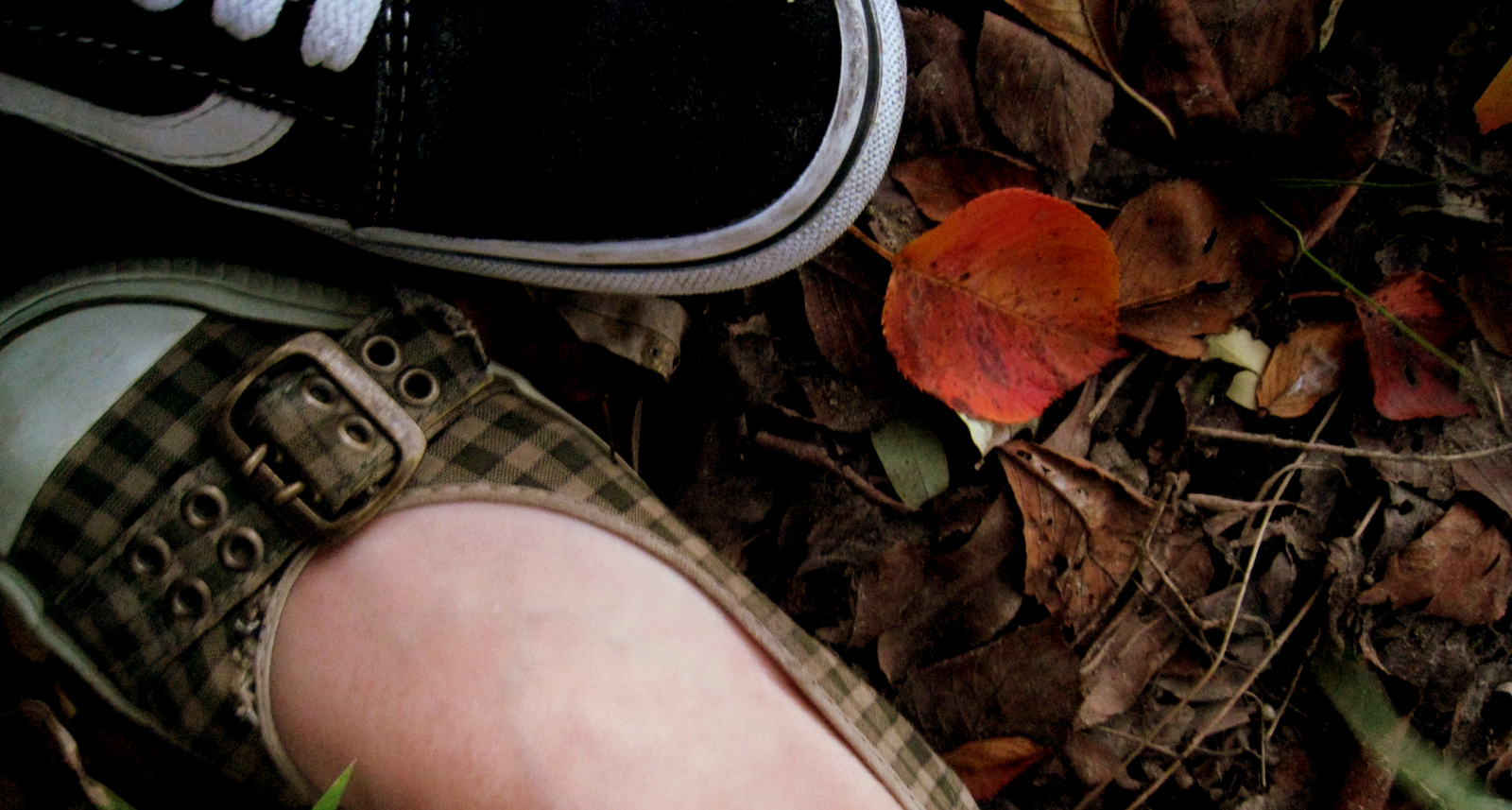 shoes and the leg of someone with fall leaves