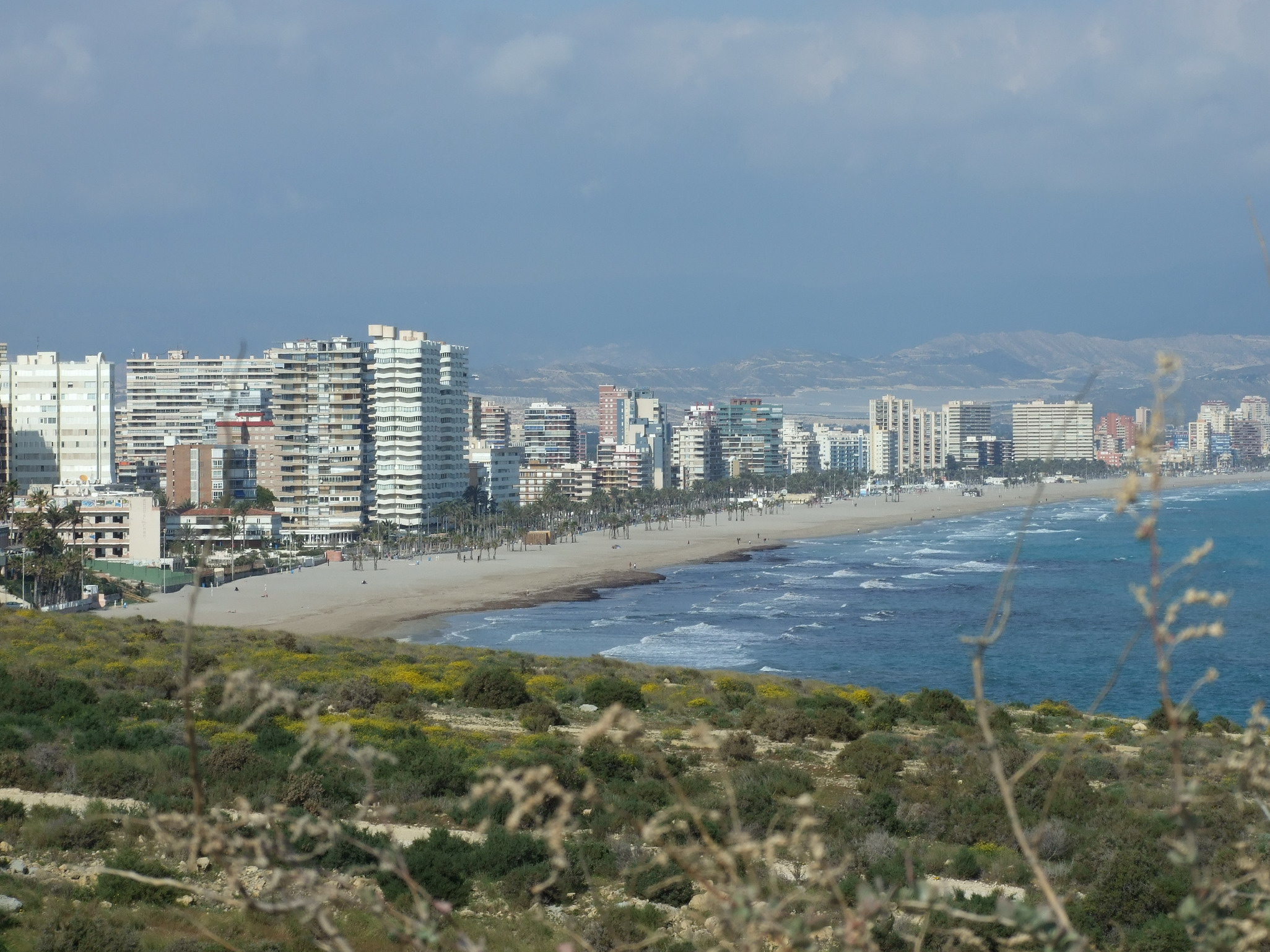 a view of some buildings and the ocean