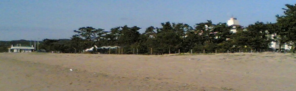 a sandy beach with trees and building in the background