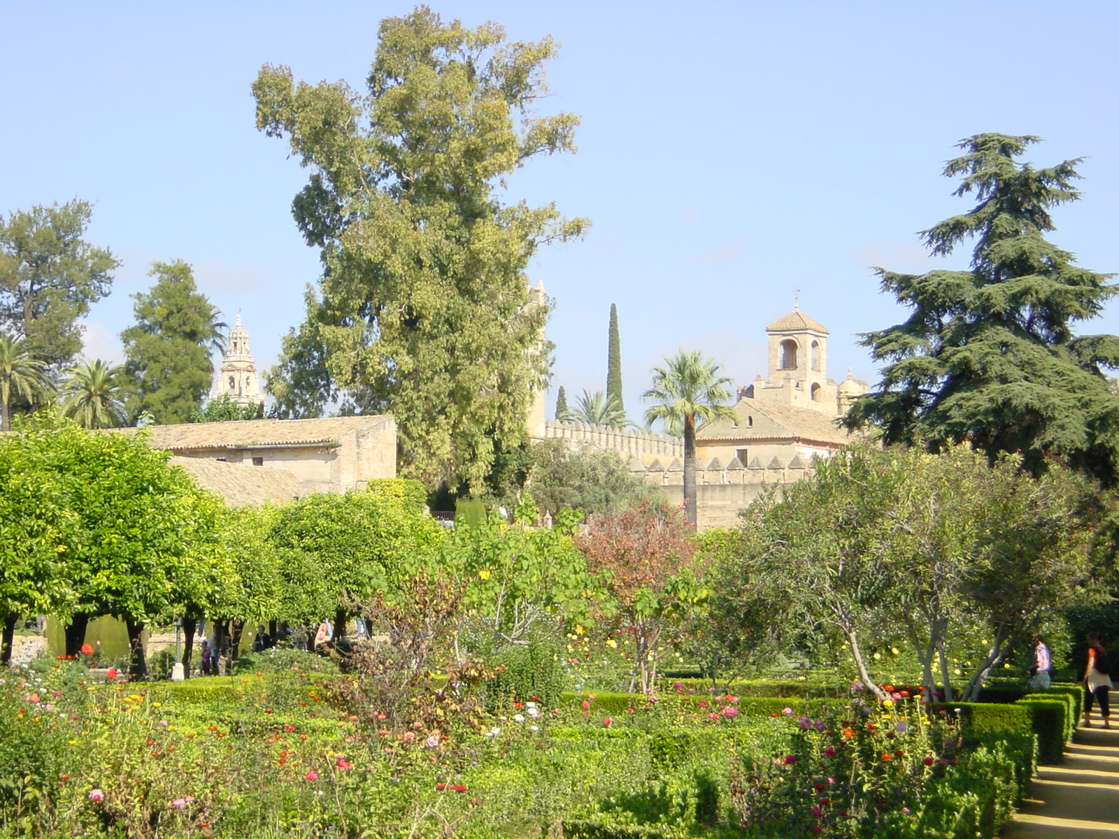garden scene with view of ancient buildings and trees