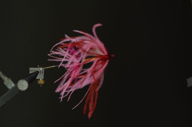 a pink and red feathers hanging from a hook