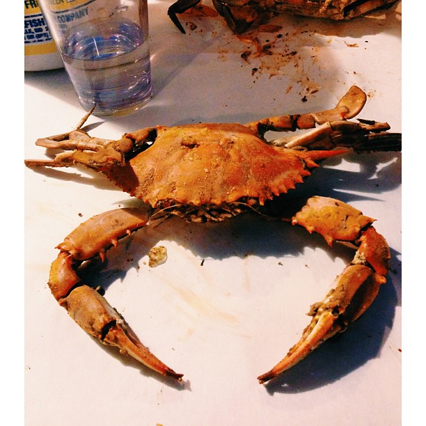 two crabs on a table with one laying down
