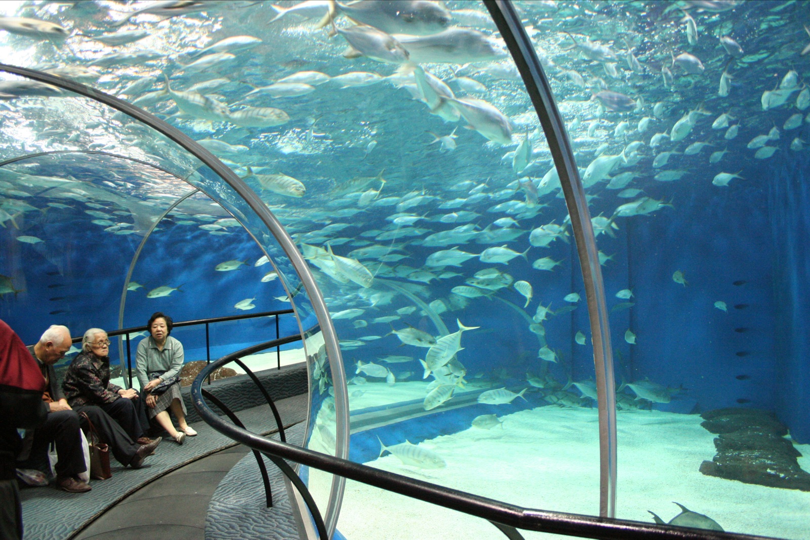 several people are sitting on a metal ledge in an aquarium