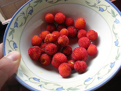 small round strawberries in a floral bowl
