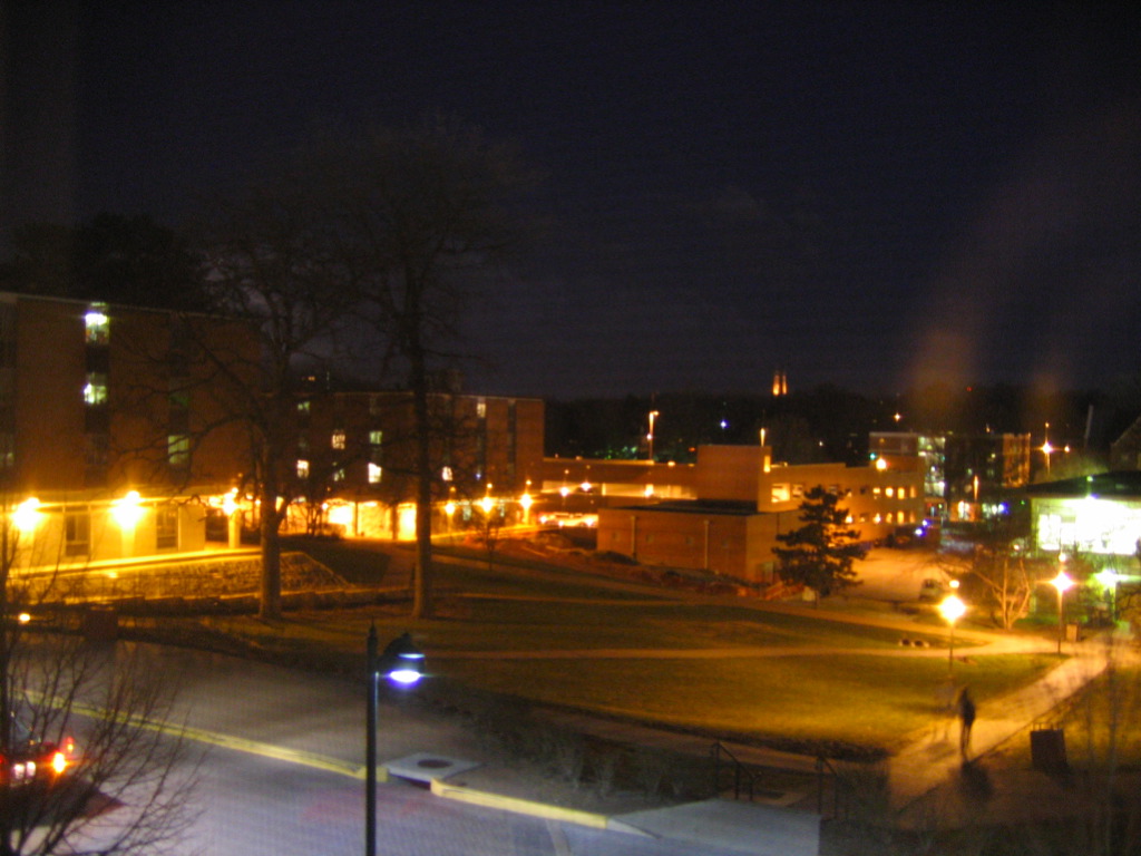 some buildings lights trees and cars at night