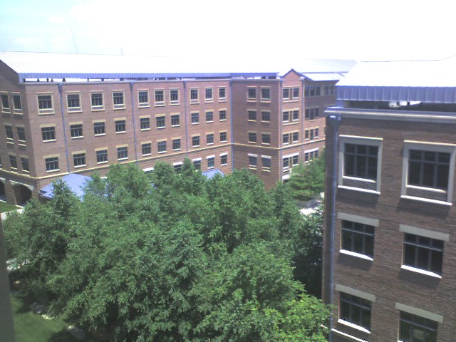 a courtyard view of buildings and trees from the glass windows