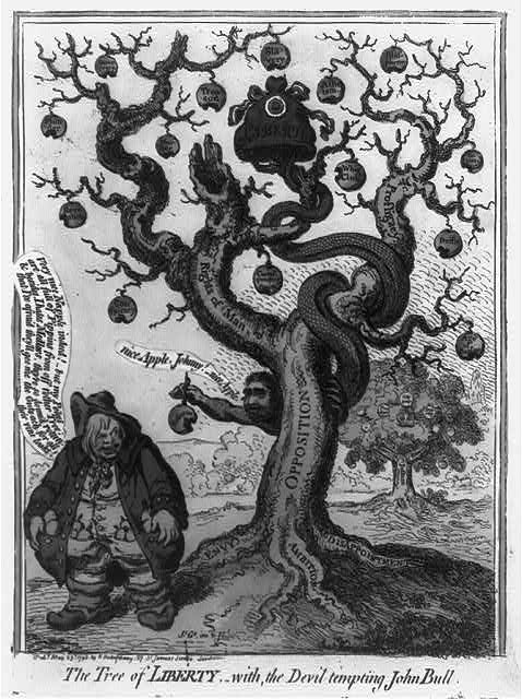 a cartoon drawing of a man sitting on top of a tree with apples on it