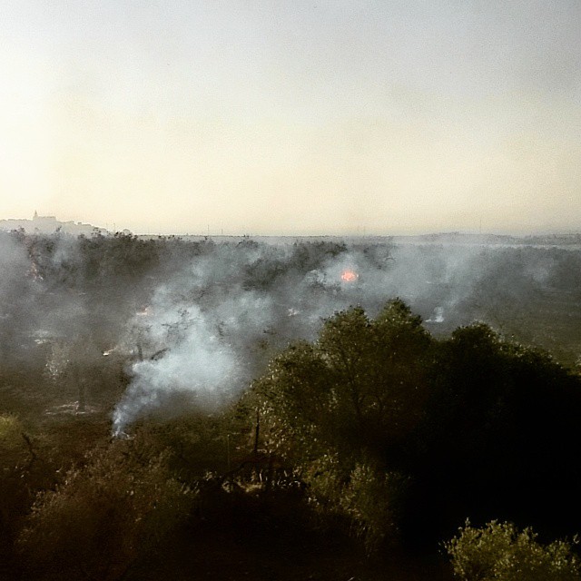 fog is rising in the middle of a green landscape