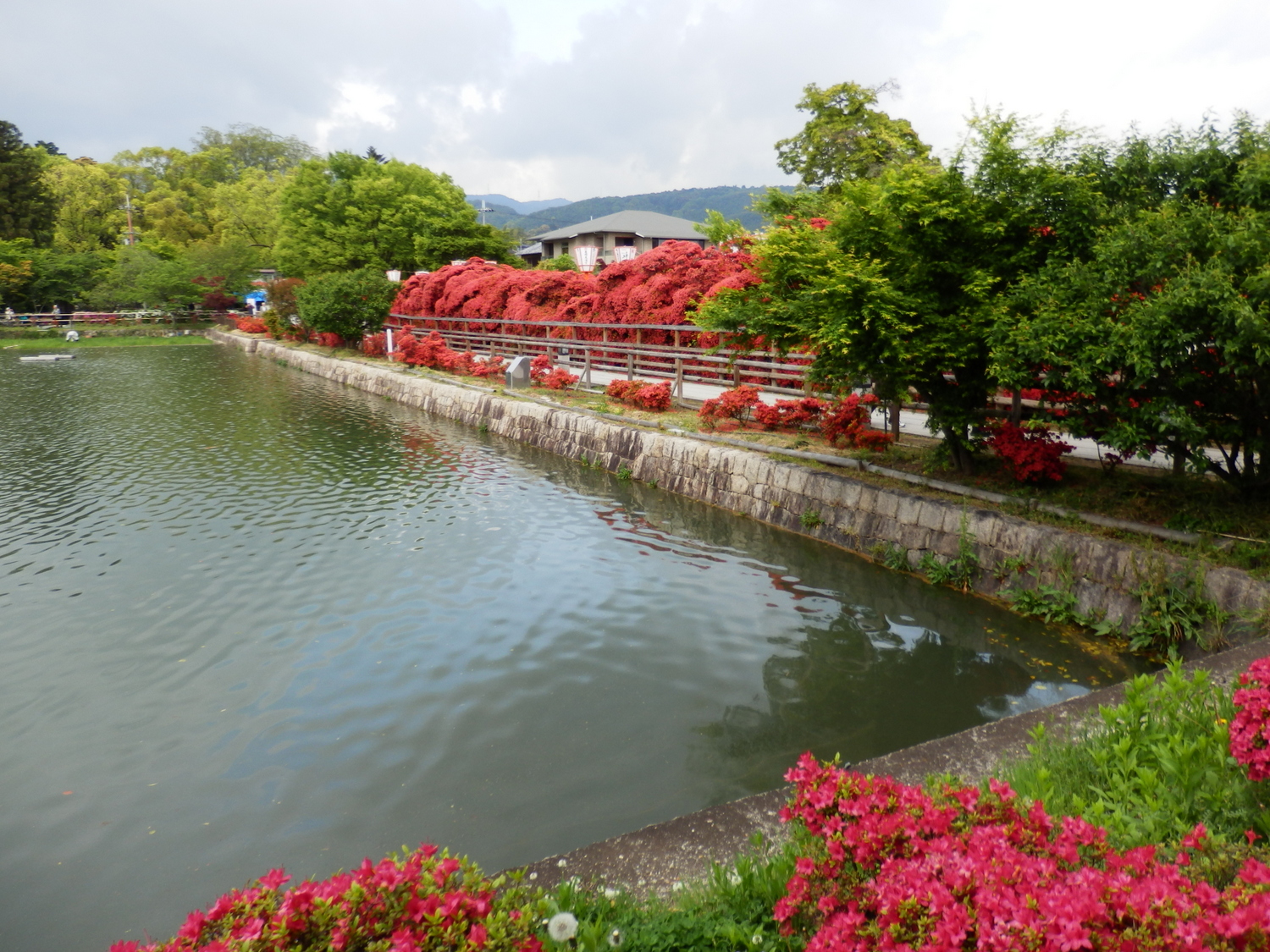 a water way surrounded by trees and flowers