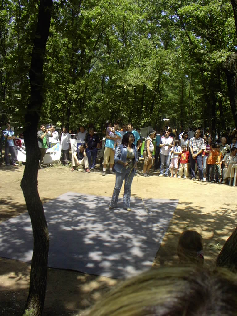 people are in the park watching a person in the air