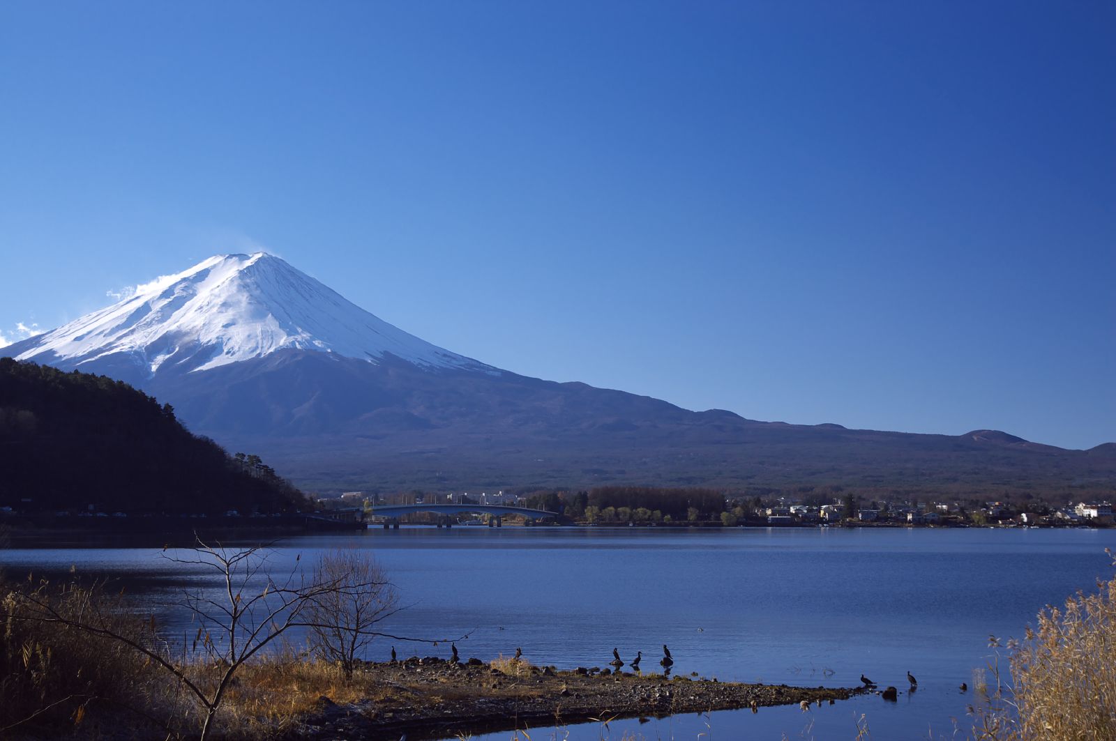 the snow capped mountain is seen in the distance