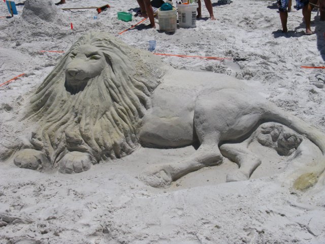 a sand lion laying on the beach