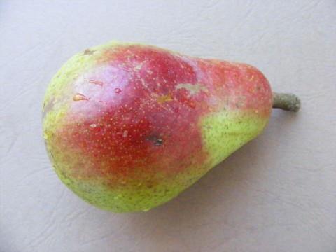 a pear sits half covered in brown and red speckles