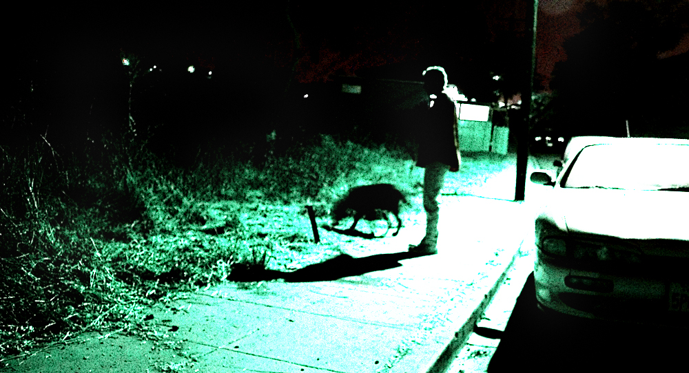 a woman with a dog in the dark