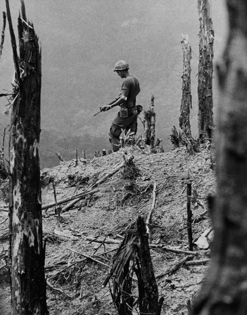 soldier looking out from top of hill while using rifle