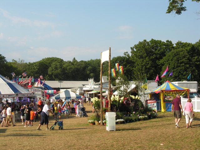 people walking around a fair in the distance