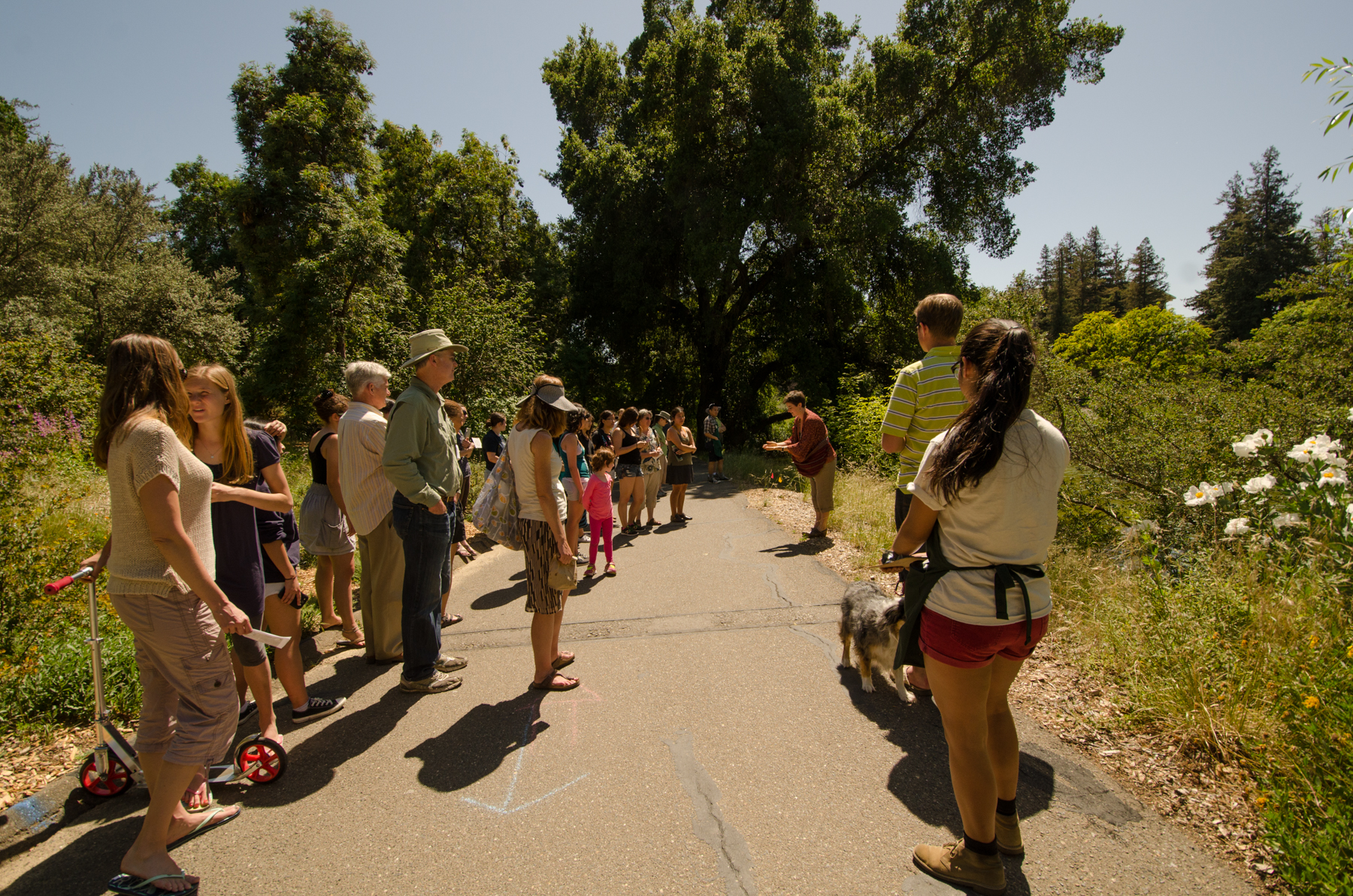 people standing on a path with two horses