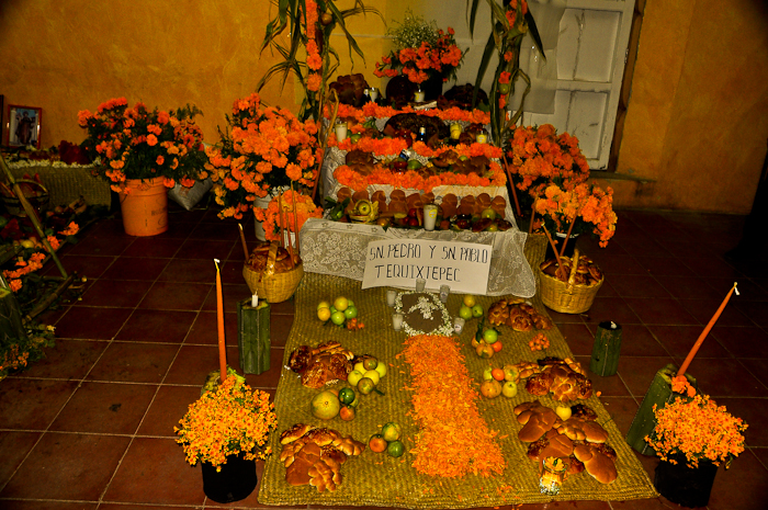 a table covered in a variety of orange flowers