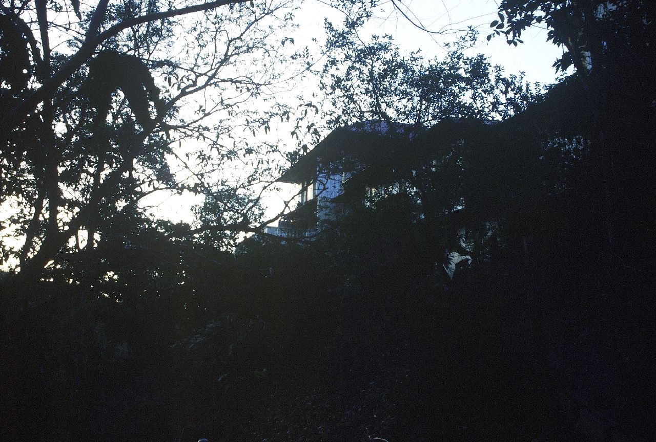 a building in the background with many trees in front