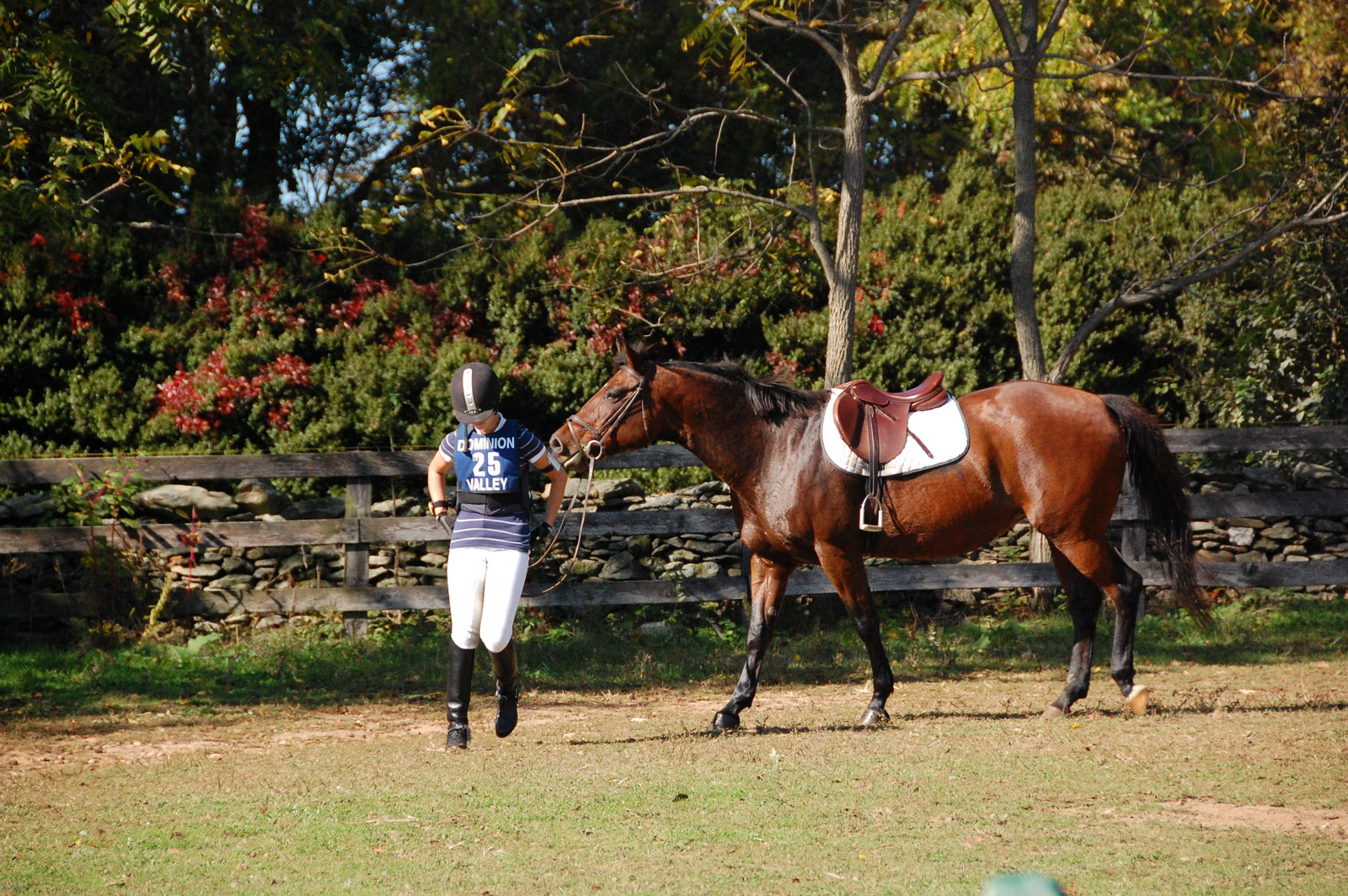 two horses being led away from a fence by a person