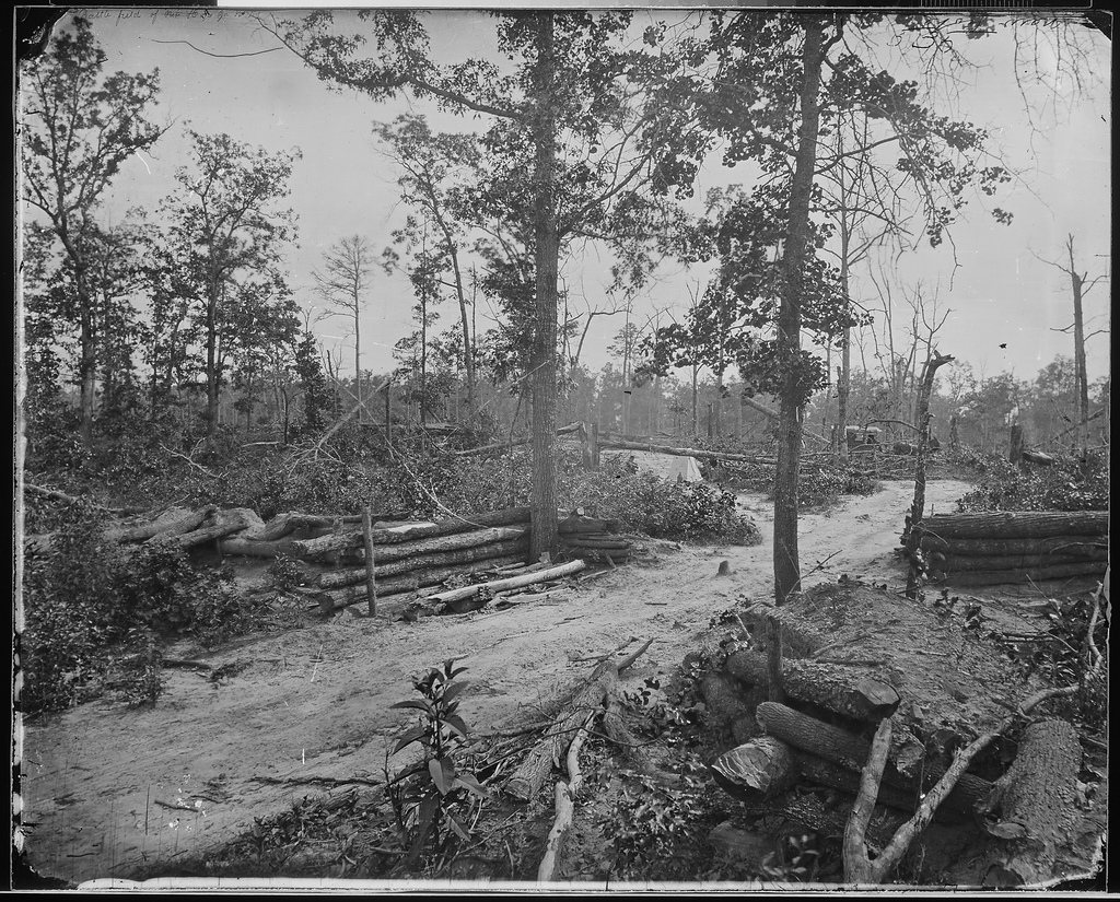 this is an old po of the logging area