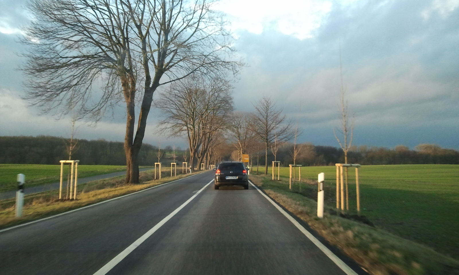 a car on an empty road near a field and trees