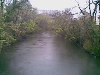 a river is running through a lush green park