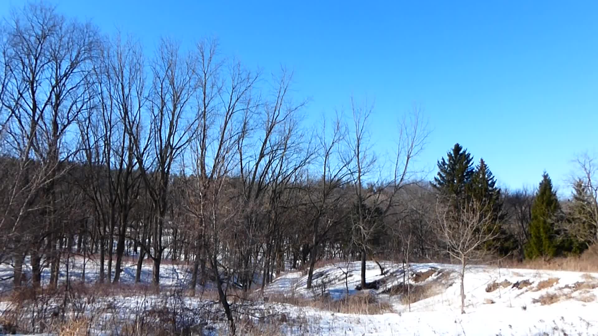 a field covered in snow and trees in the middle of winter