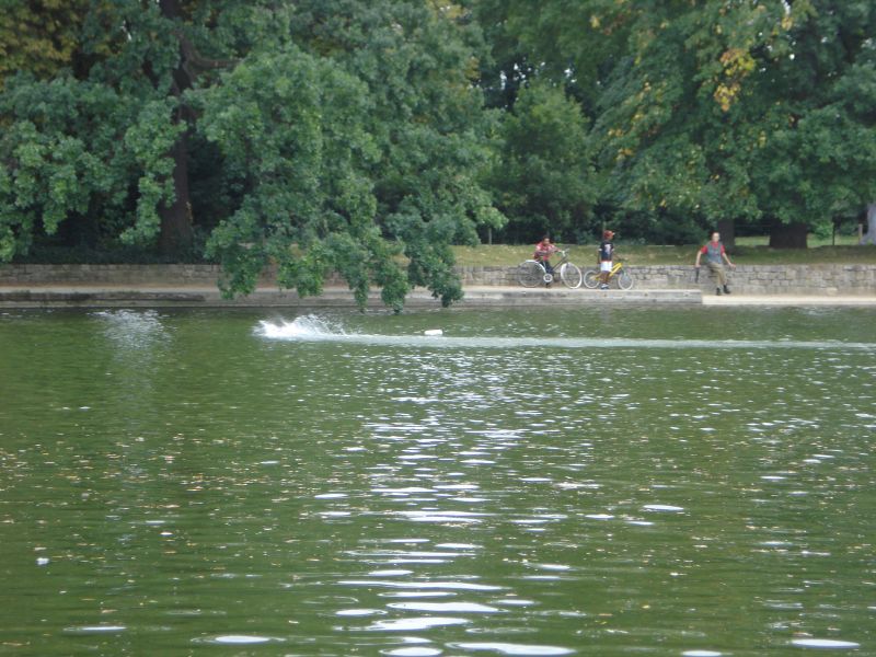 people in a park riding on water skis