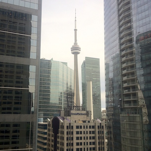 the cityscape has tall, glass and high rise buildings