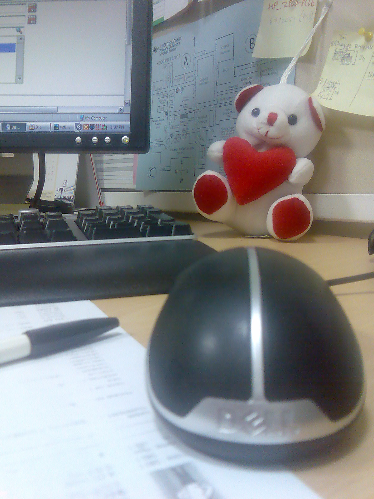 computer mouse and a teddy bear on a desk