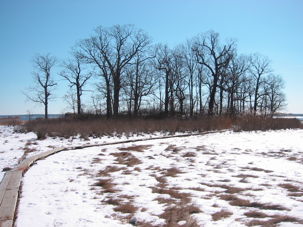 the road goes through a snowy field in the distance