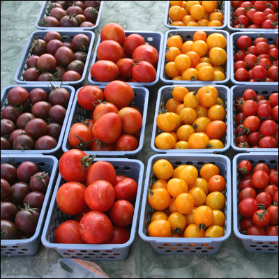 many different types of tomatoes are arranged in a display