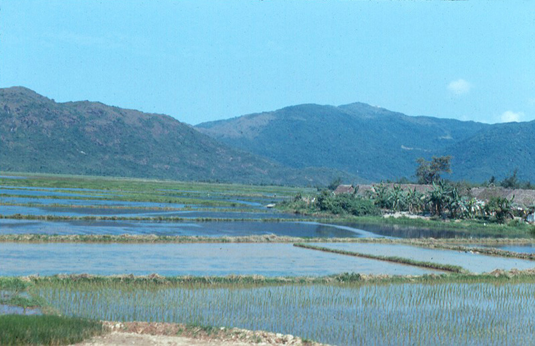 the rice fields and mountains near some water