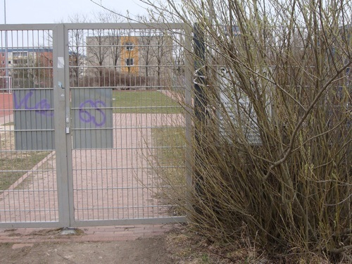 a fenced area with shrubbery and some graffiti