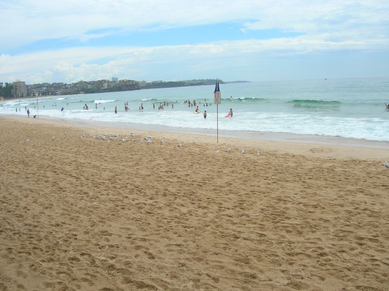 several people at the ocean, some are standing on beach waves and one person is in the water
